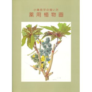 画像: 【小磯良平の描いた薬用植物画展】カタログ・図録