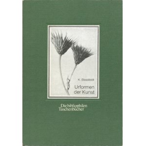 画像: 【Urformen der Kunst】Karl Blossfeldt