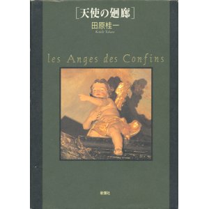 画像: 【天使の廻廊　les Anges des Confins 】田原桂一