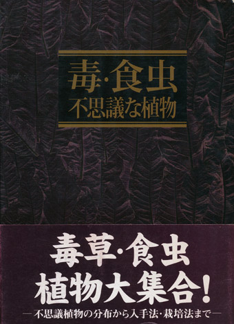 画像1: 【毒・食虫・不思議な植物】　奥井真司